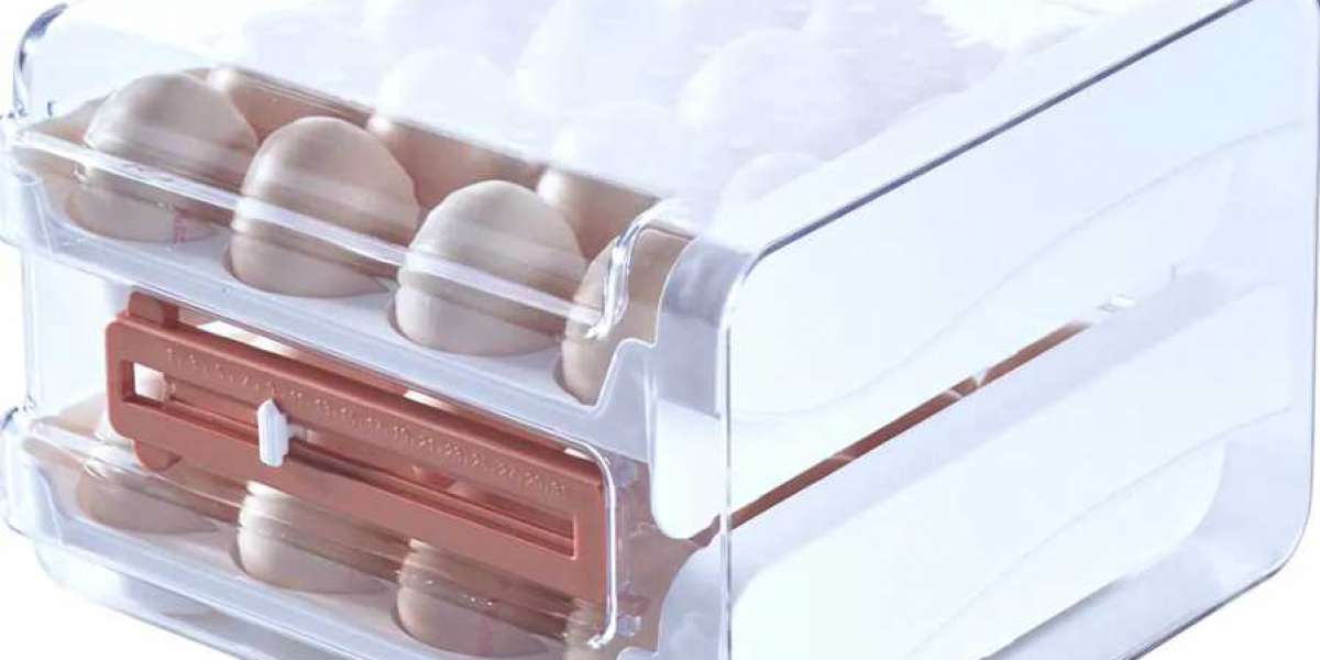 Plastic Storage Containers with Lids, Clear Egg Container Company - Folomie