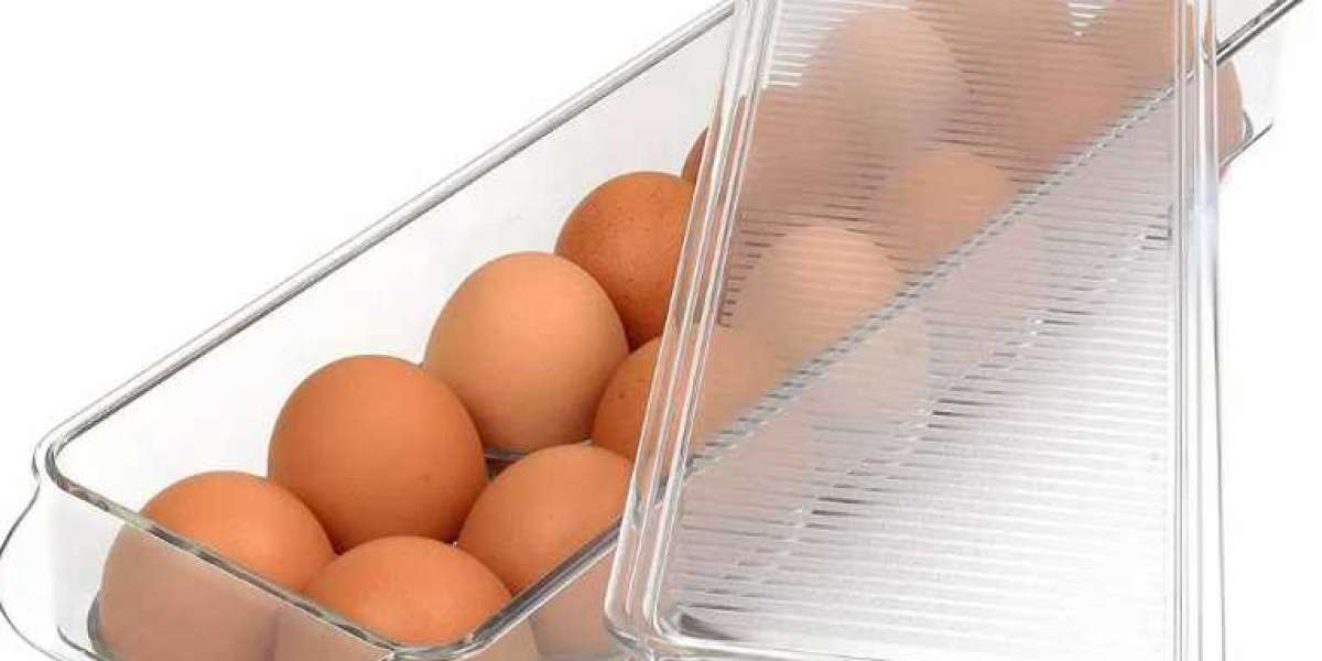 Folomie Egg Containers - Types of Egg Carton