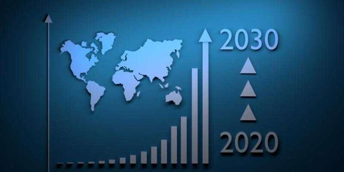 The Precision Medicine Industry: Understanding the Market and Its Potential, High Demand Report Forecast 2030