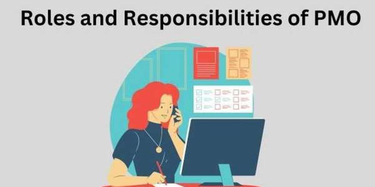 What are the responsibilities and roles of the PMO?