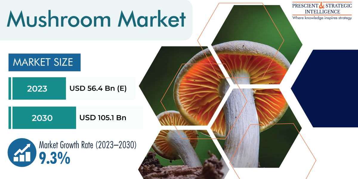 Mushroom Market Business Analysis, Growth and Forecast Report