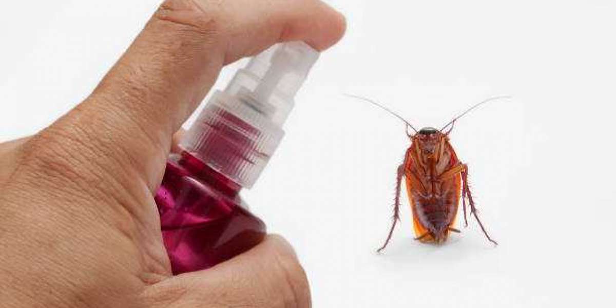 Keep Bugs at Bay with Gya Labs Natural Essential Oil Repellents