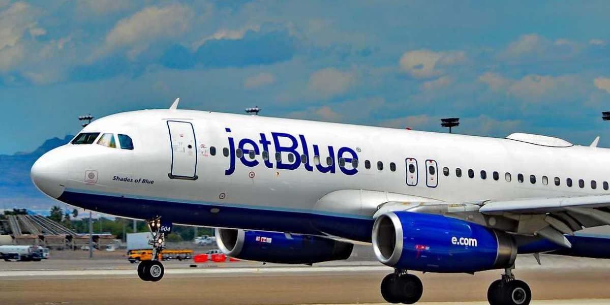 Beyond Baggage: The Unexpected Gems Unearthed in JetBlue Lost and Found