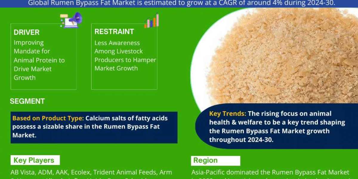 Global Rumen Bypass Fat Market Size, Share & Trends Analysis | 4% CAGR By 2030