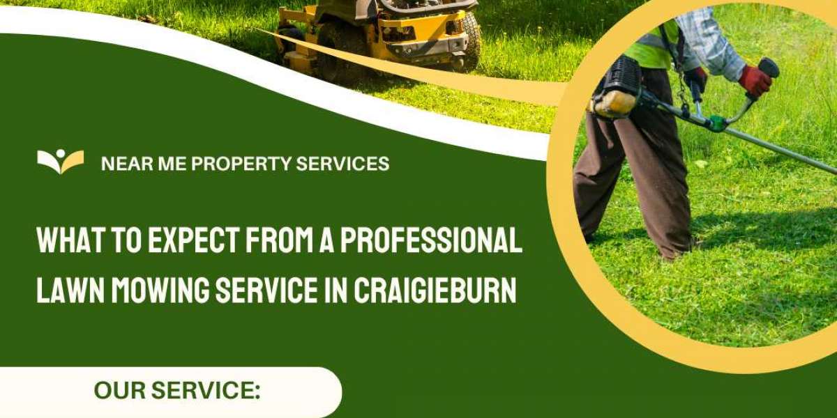 What to Expect from a Professional Lawn Mowing Service in Craigieburn